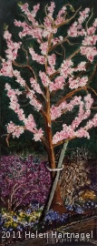 Peach tree in blossom, 20 cm x 50 cm, 25.03.2023.