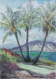 Paradise on Earth, Kihei, Maui 